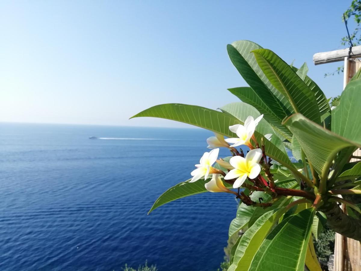 דירות פראינו Sea Side Solandra מראה חיצוני תמונה